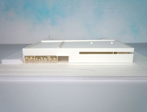 クリニックプロジェクト